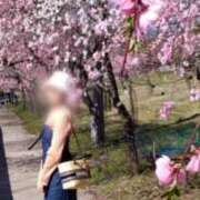 ヒメ日記 2025/03/11 10:38 投稿 小坂菜緒(なお) 東京不倫～とうきょうふりん～