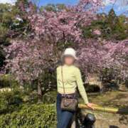 ヒメ日記 2025/04/03 21:08 投稿 小坂菜緒(なお) 東京不倫～とうきょうふりん～