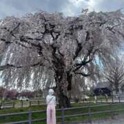 ヒメ日記 2025/05/05 11:08 投稿 小坂菜緒(なお) 東京不倫～とうきょうふりん～