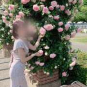 ヒメ日記 2025/05/19 12:48 投稿 小坂菜緒(なお) 東京不倫～とうきょうふりん～