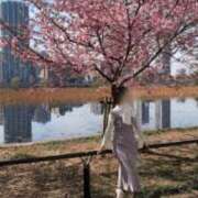 ヒメ日記 2026/03/01 10:48 投稿 小坂菜緒(なお) 東京不倫～とうきょうふりん～