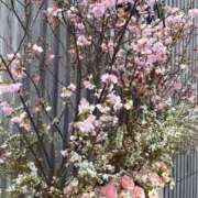 ヒメ日記 2025/03/15 23:07 投稿 りあ ドンファン