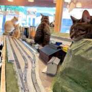 ヒメ日記 2025/06/12 03:11 投稿 りあ ドンファン