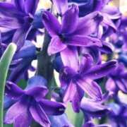 ヒメ日記 2025/10/17 23:45 投稿 りあ ドンファン