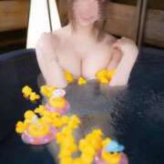 ヒメ日記 2026/02/11 12:45 投稿 ルミ ドンファン