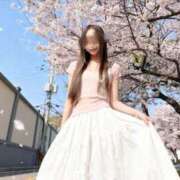 ヒメ日記 2026/03/30 12:51 投稿 ルミ ドンファン