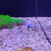 ヒメ日記 2025/06/06 07:12 投稿 ゆきな ドンファン