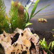 ヒメ日記 2025/06/11 05:30 投稿 ゆきな ドンファン