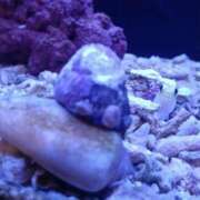 ヒメ日記 2025/12/16 16:45 投稿 ゆきな ドンファン