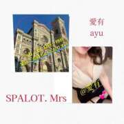 ヒメ日記 2025/11/13 00:09 投稿 愛有-あゆ- SPALOT.Mrs（スパロットミセス）
