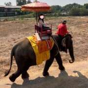 ヒメ日記 2025/05/21 18:09 投稿 綾瀬　あやめ OLピンクコレクション