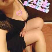 ヒメ日記 2024/12/09 12:30 投稿 ひかる サンクチュアリ(上野)