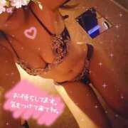 ヒメ日記 2024/12/18 16:48 投稿 ひかる サンクチュアリ(上野)