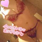 ヒメ日記 2024/12/22 20:47 投稿 ひかる サンクチュアリ(上野)