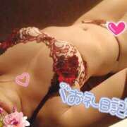 ヒメ日記 2024/12/30 19:22 投稿 ひかる サンクチュアリ(上野)