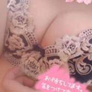 ヒメ日記 2025/03/22 08:50 投稿 ひかる サンクチュアリ(上野)