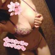 ヒメ日記 2025/03/29 21:10 投稿 ひかる サンクチュアリ(上野)