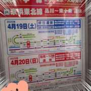 ヒメ日記 2025/04/10 20:02 投稿 ひかる サンクチュアリ(上野)