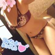 ヒメ日記 2025/04/14 12:16 投稿 ひかる サンクチュアリ(上野)