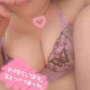 ヒメ日記 2025/04/16 16:48 投稿 ひかる サンクチュアリ(上野)