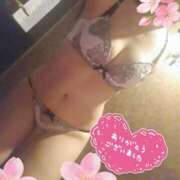 ヒメ日記 2025/04/26 19:30 投稿 ひかる サンクチュアリ(上野)