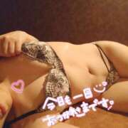 ヒメ日記 2025/05/13 19:19 投稿 ひかる サンクチュアリ(上野)