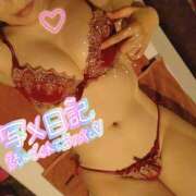 ヒメ日記 2025/07/10 12:30 投稿 ひかる サンクチュアリ(上野)