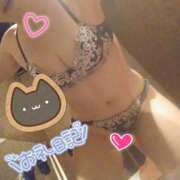 ヒメ日記 2025/07/28 19:45 投稿 ひかる サンクチュアリ(上野)