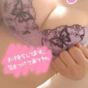 ヒメ日記 2025/08/20 16:48 投稿 ひかる サンクチュアリ(上野)