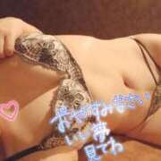 ヒメ日記 2025/08/22 22:52 投稿 ひかる サンクチュアリ(上野)