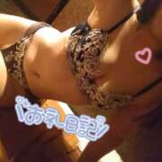 ヒメ日記 2025/09/25 19:30 投稿 ひかる サンクチュアリ(上野)