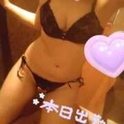 ヒメ日記 2025/10/15 12:30 投稿 ひかる サンクチュアリ(上野)