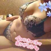 ヒメ日記 2025/11/30 19:40 投稿 ひかる サンクチュアリ(上野)