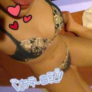 ヒメ日記 2025/12/01 19:45 投稿 ひかる サンクチュアリ(上野)