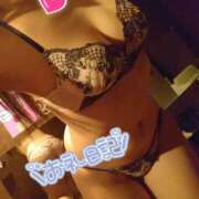 ヒメ日記 2025/12/15 19:30 投稿 ひかる サンクチュアリ(上野)