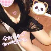 ヒメ日記 2026/02/26 19:53 投稿 ひかる サンクチュアリ(上野)