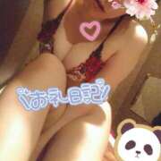 ヒメ日記 2026/03/02 19:30 投稿 ひかる サンクチュアリ(上野)