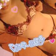 ヒメ日記 2026/04/06 19:00 投稿 ひかる サンクチュアリ(上野)