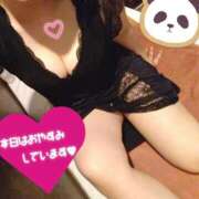 ヒメ日記 2026/04/22 12:30 投稿 ひかる サンクチュアリ(上野)