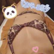 ヒメ日記 2026/04/27 19:15 投稿 ひかる サンクチュアリ(上野)