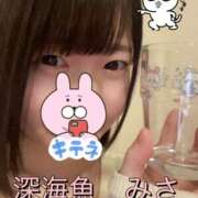 みさ 2月 深海魚