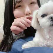 ヒメ日記 2025/01/30 12:03 投稿 ルカ 深海魚