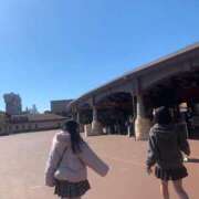 ヒメ日記 2025/03/08 09:50 投稿 ルカ 深海魚