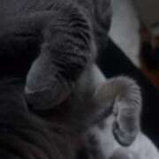 ヒメ日記 2025/04/29 21:30 投稿 ルカ 深海魚