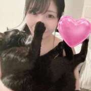 ヒメ日記 2025/11/11 18:40 投稿 ルカ 深海魚