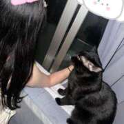 ヒメ日記 2026/01/06 11:26 投稿 ルカ 深海魚