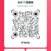 ヒメ日記 2026/01/20 22:41 投稿 ルカ 深海魚