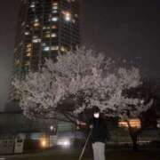 ヒメ日記 2026/03/23 08:38 投稿 ルカ 深海魚