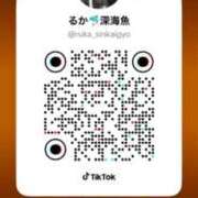 ヒメ日記 2026/04/02 22:50 投稿 ルカ 深海魚