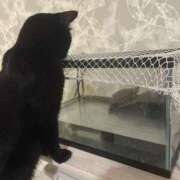 ヒメ日記 2026/06/19 18:57 投稿 ルカ 深海魚